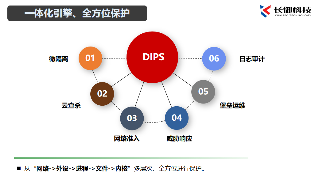 全功能DIPS产品